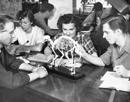 Image of zoology lab192